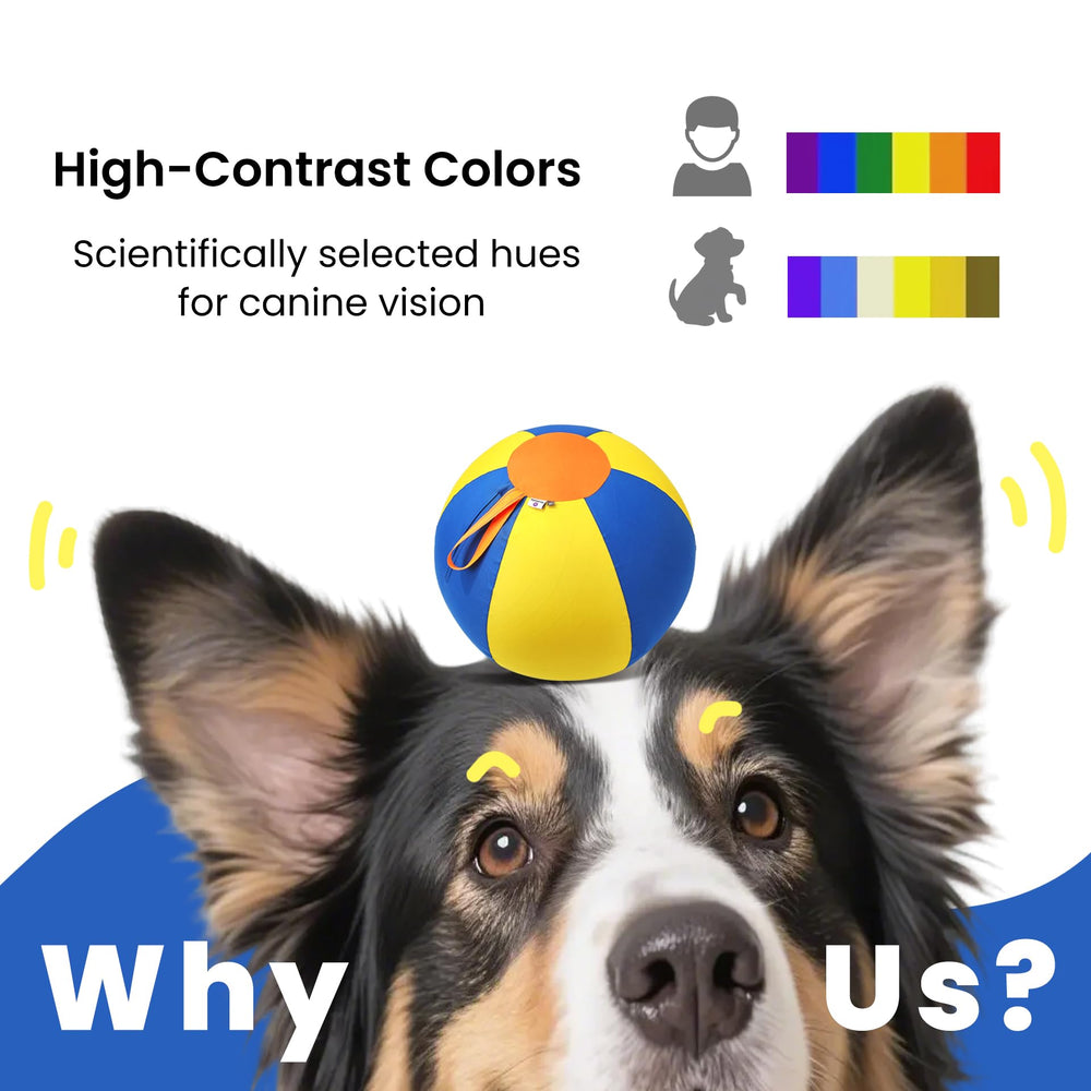 Juego exterior para perros, ideal para parques y patios