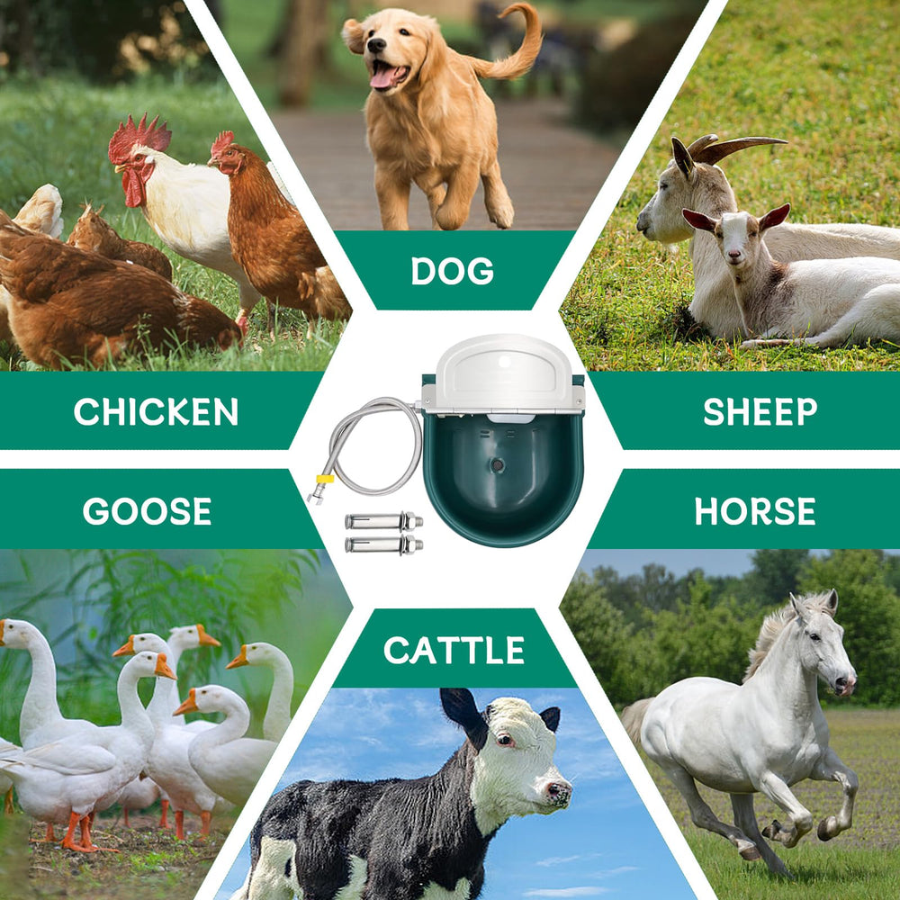 Bebedero exterior Achicklead, perfecto para perros y aves en granja.
