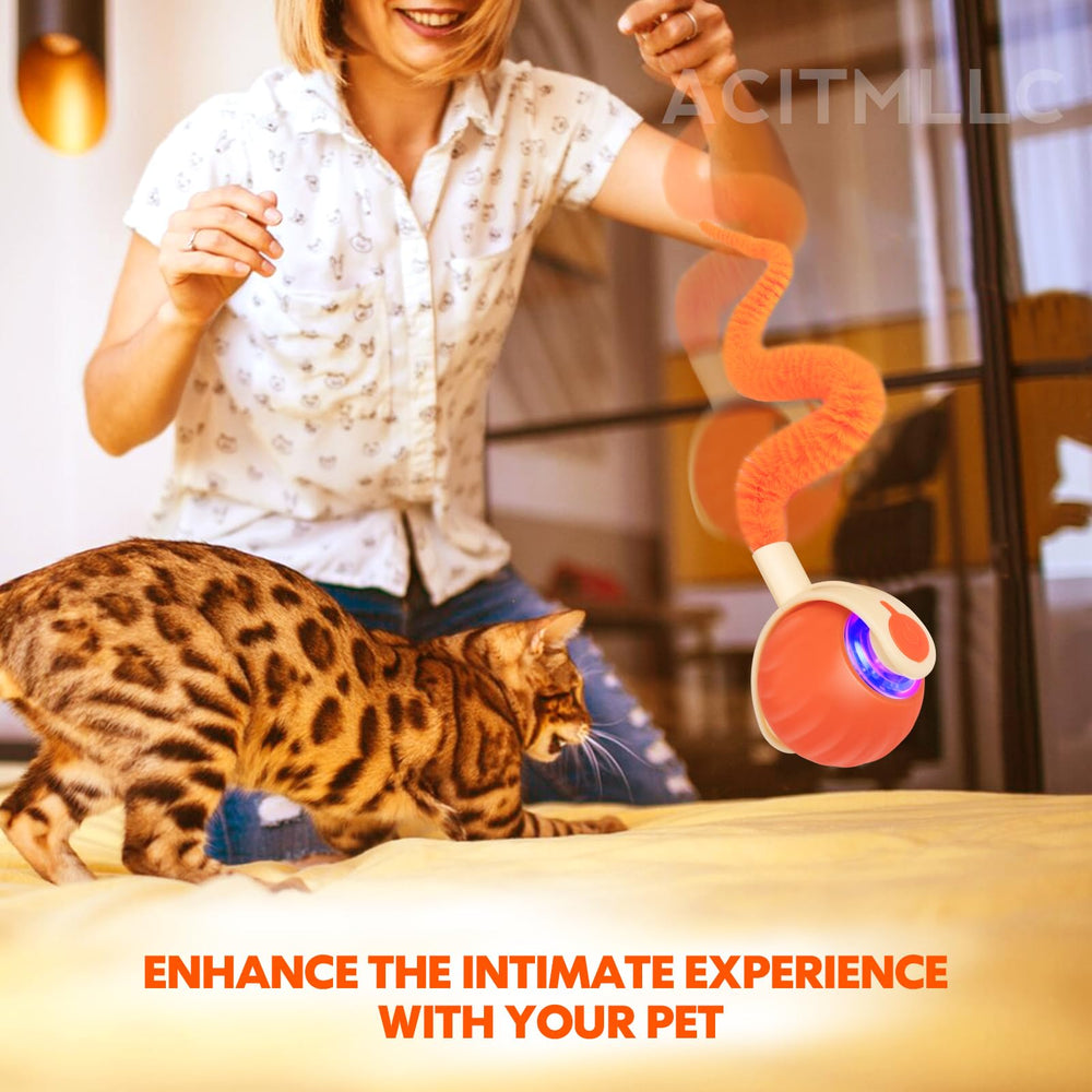 ACITMLLC bola con pluma cola, añade distracción sensorial para tus mascotas.