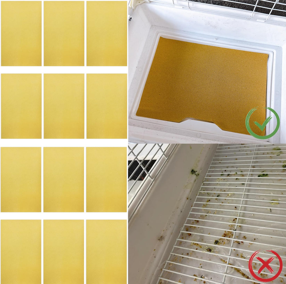 Acsist-compatibilidad-con-aves-varias: apto para periquitos, loros y más