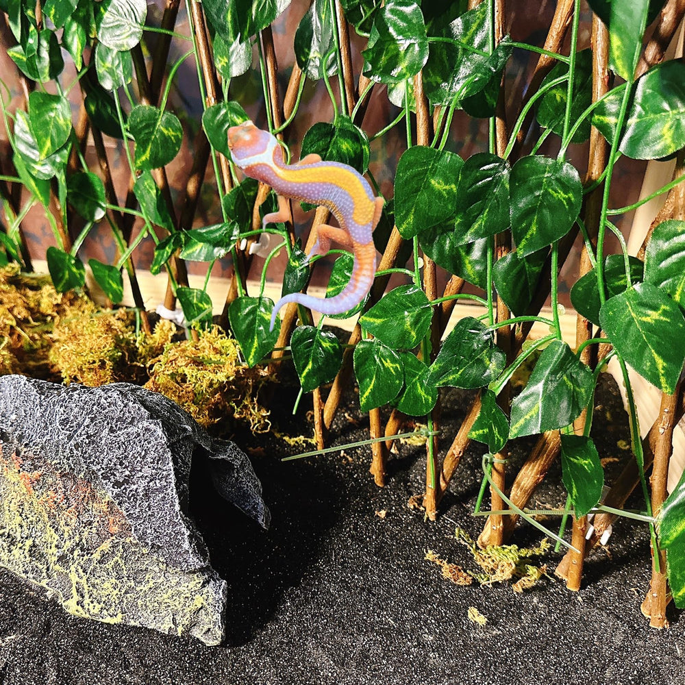Acsist ventosas para acuario: instalación rápida y fijación segura al vidrio.