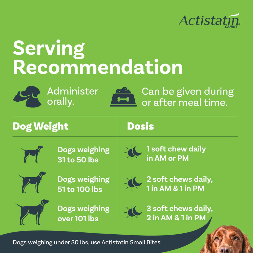 Actistatin perro grande disfruta de masticable diario, fácil de consumir.