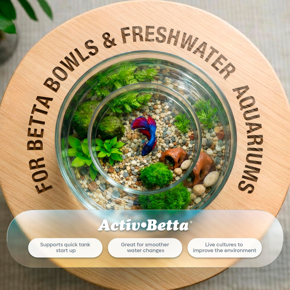 Activ Betta Bio-Activ Live: vertiendo agua natural sin cloro para un entorno seguro.