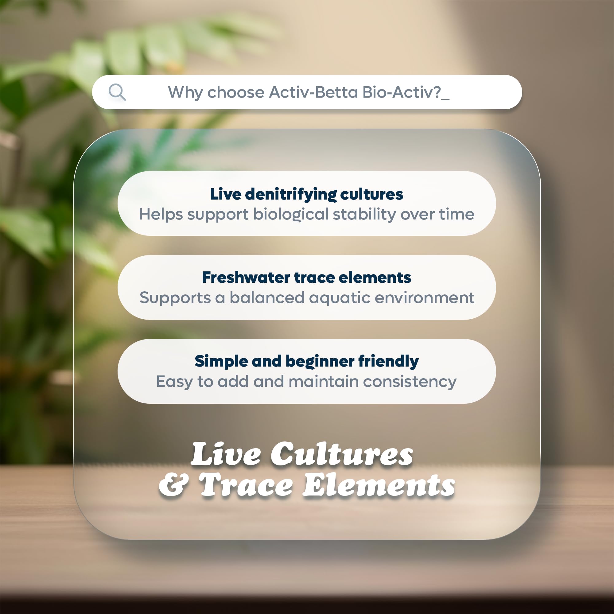 Activ Betta Bio-Activ Live: formación de biofilm para un ecosistema estable.