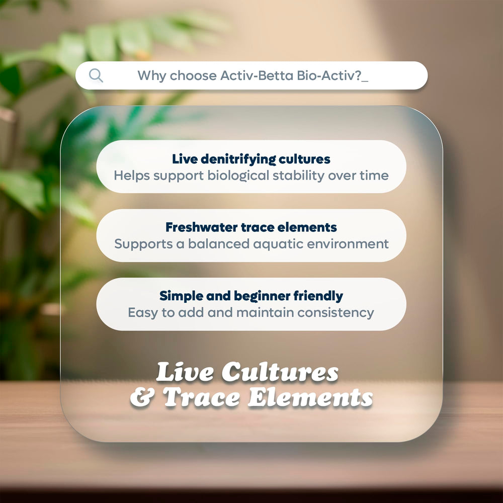 Activ Betta Bio-Activ Live: formación de biofilm para un ecosistema estable.