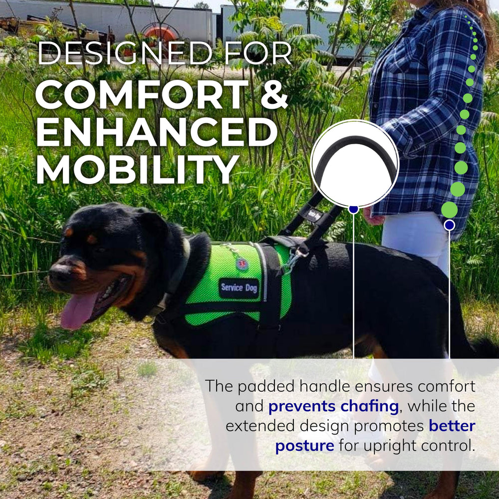 ActiveDogs: alcance extendido para mayor comodidad al guiar al perro.