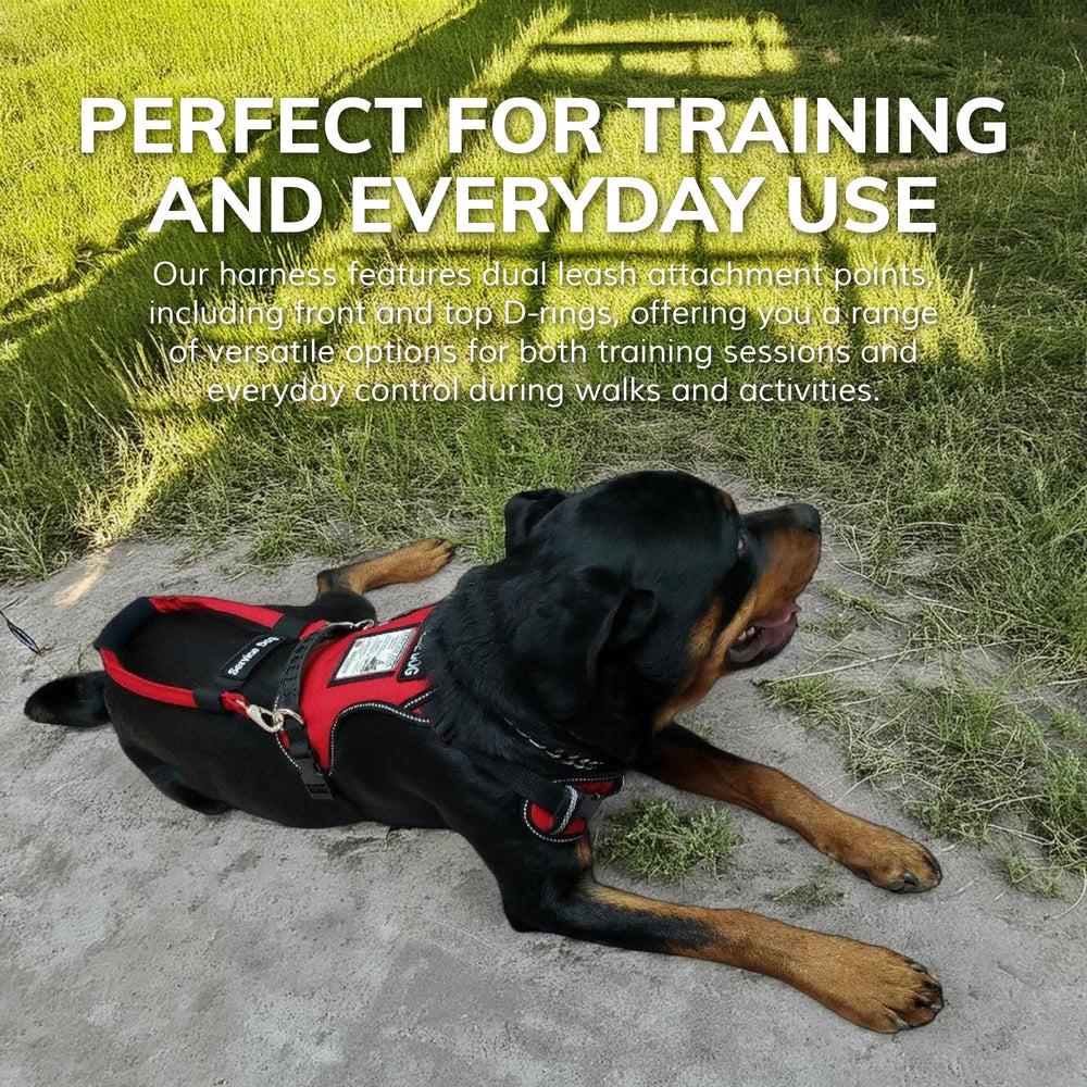 ActiveDogs arnés con malla Air-Tech transpirable para comodidad.