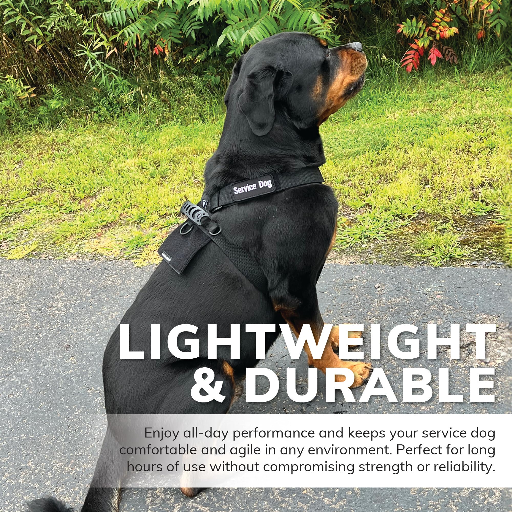ActiveDogs asa integrada para control adicional durante maniobras.