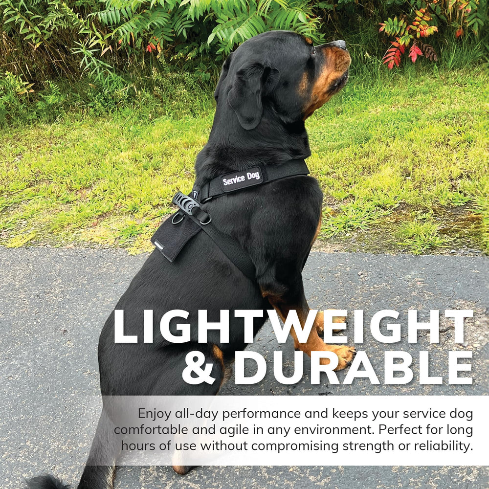 ActiveDogs asa integrada para control adicional durante maniobras.