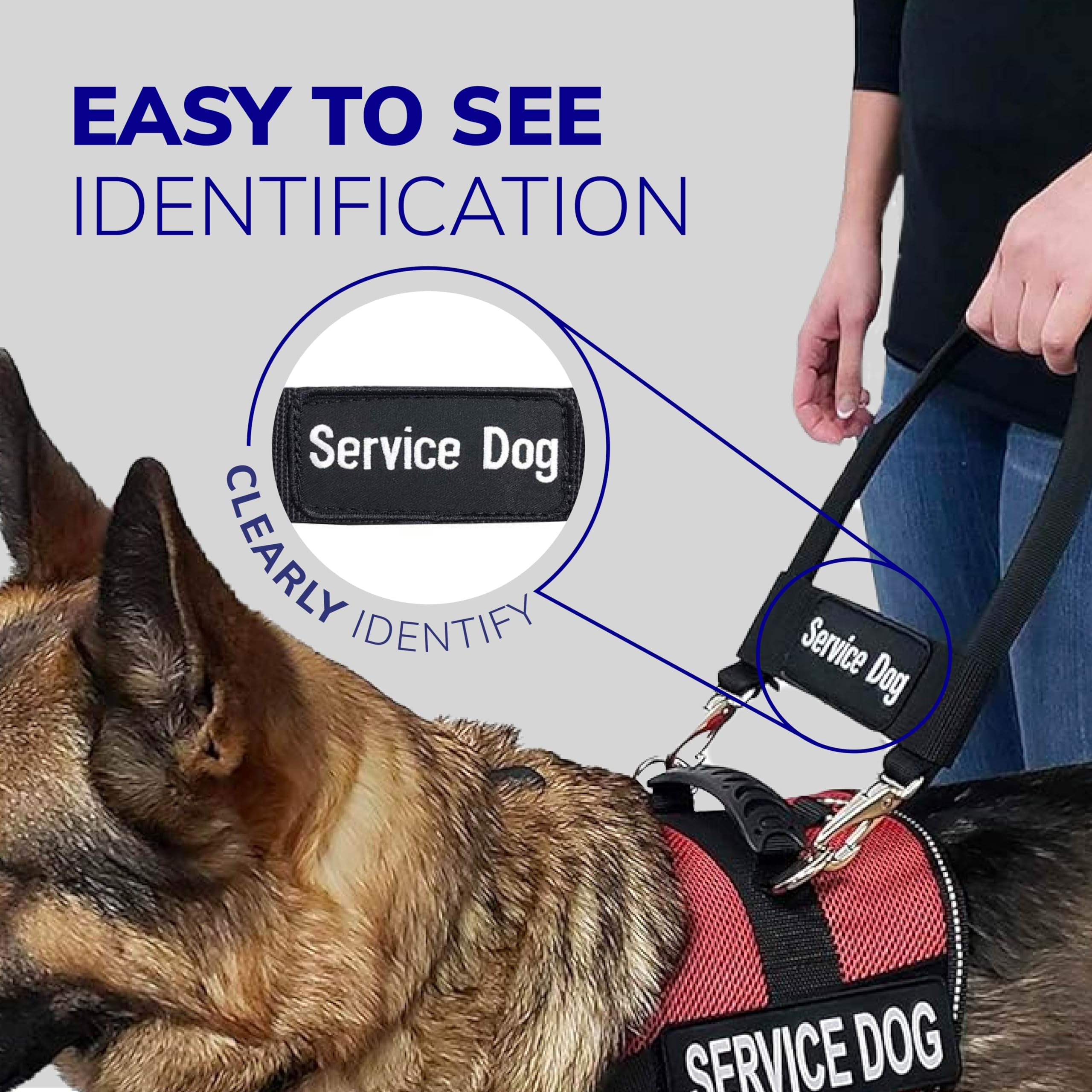 ActiveDogs: nylon reforzado, durabilidad para uso diario.