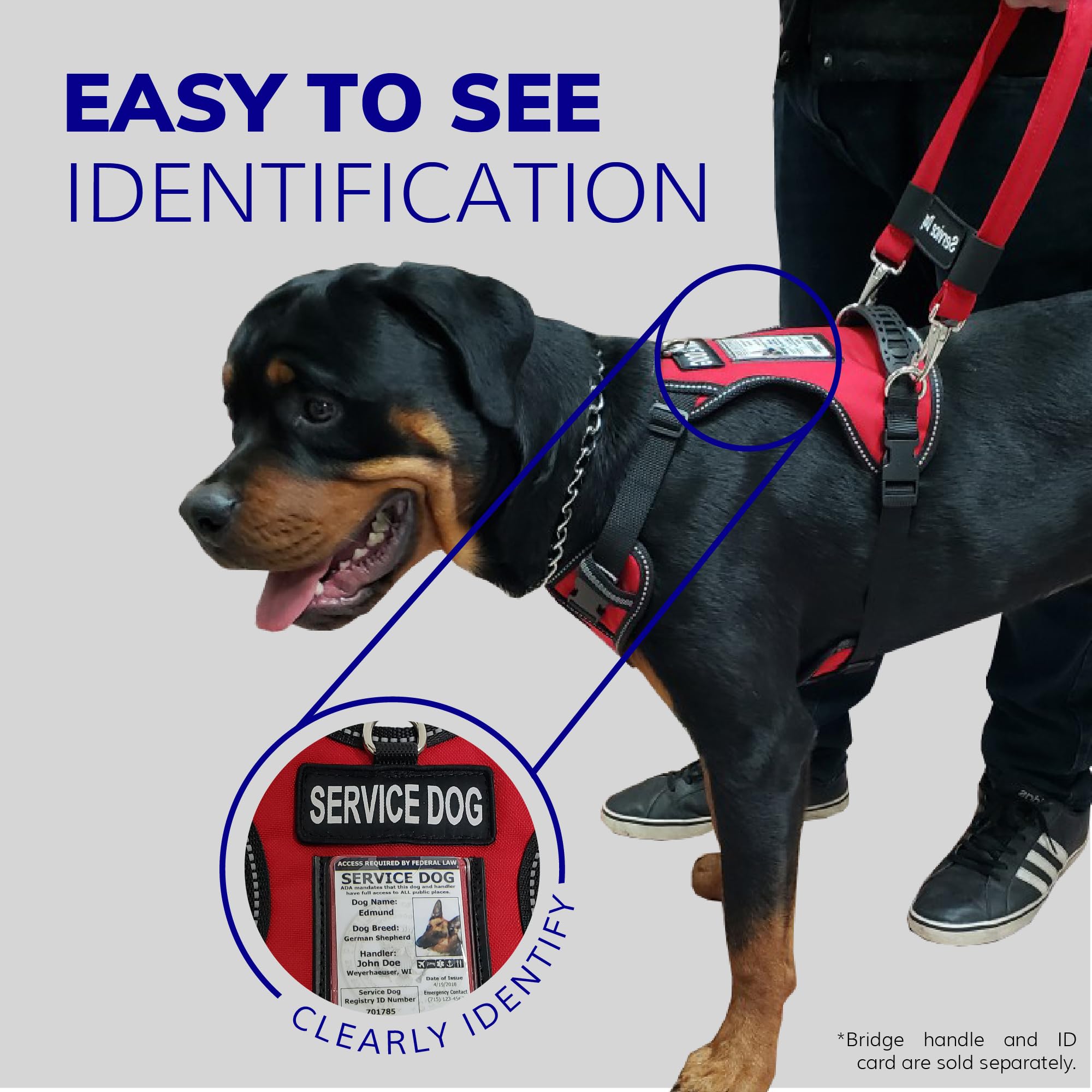 ActiveDogs parches de servicio refuerzan la identificación y propósito del uso.