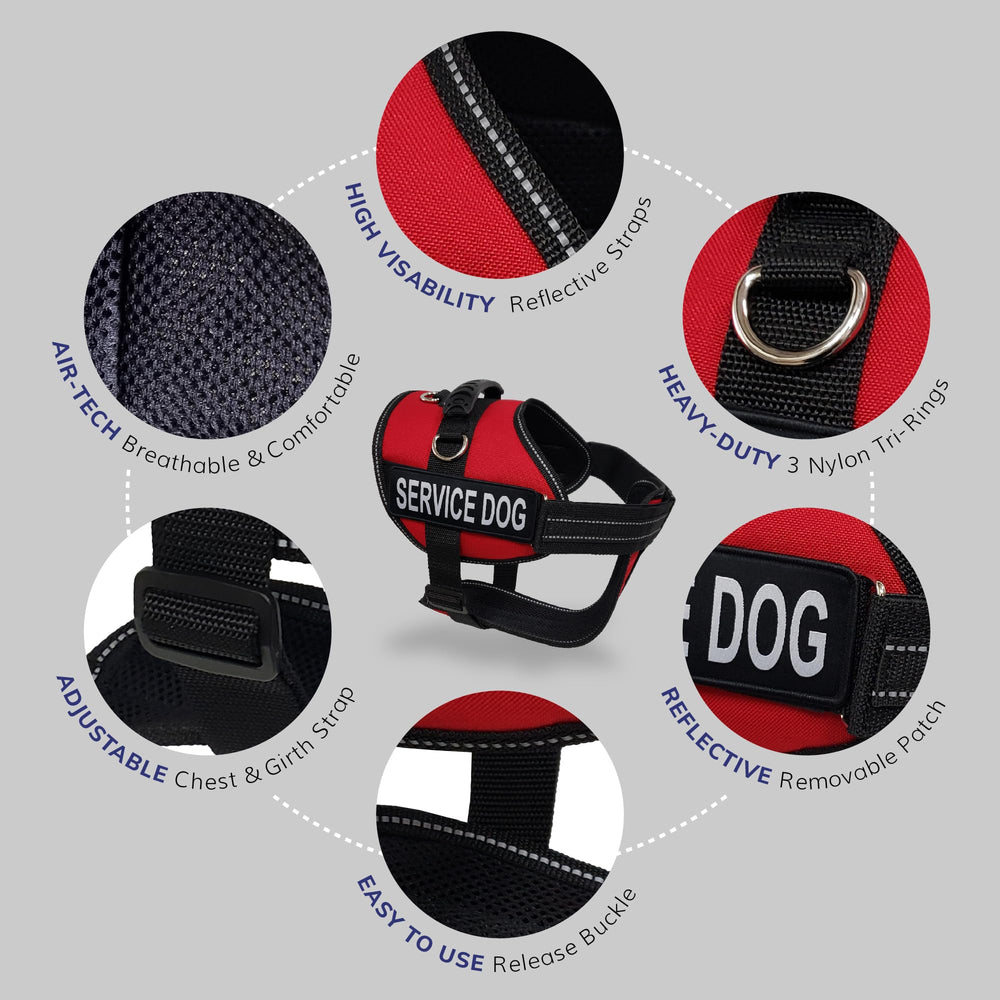ActiveDogs tarjetas ADA, credenciales incluidas para uso público.