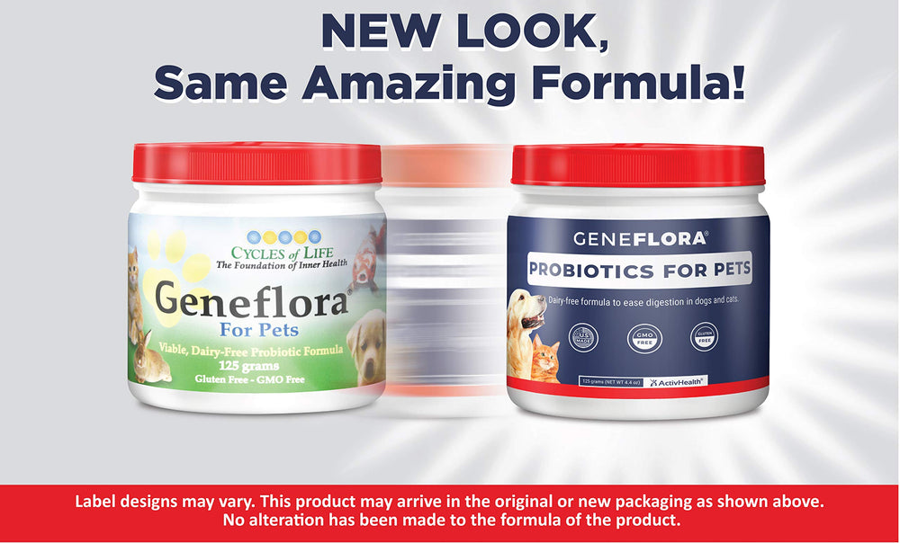 Geneflora de ActivHealth: probióticos para mascotas en polvo para apoyo intestinal.