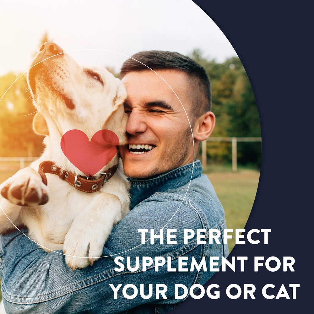 Geneflora de ActivHealth: uso diario para perros, gatos y otros compañeros.