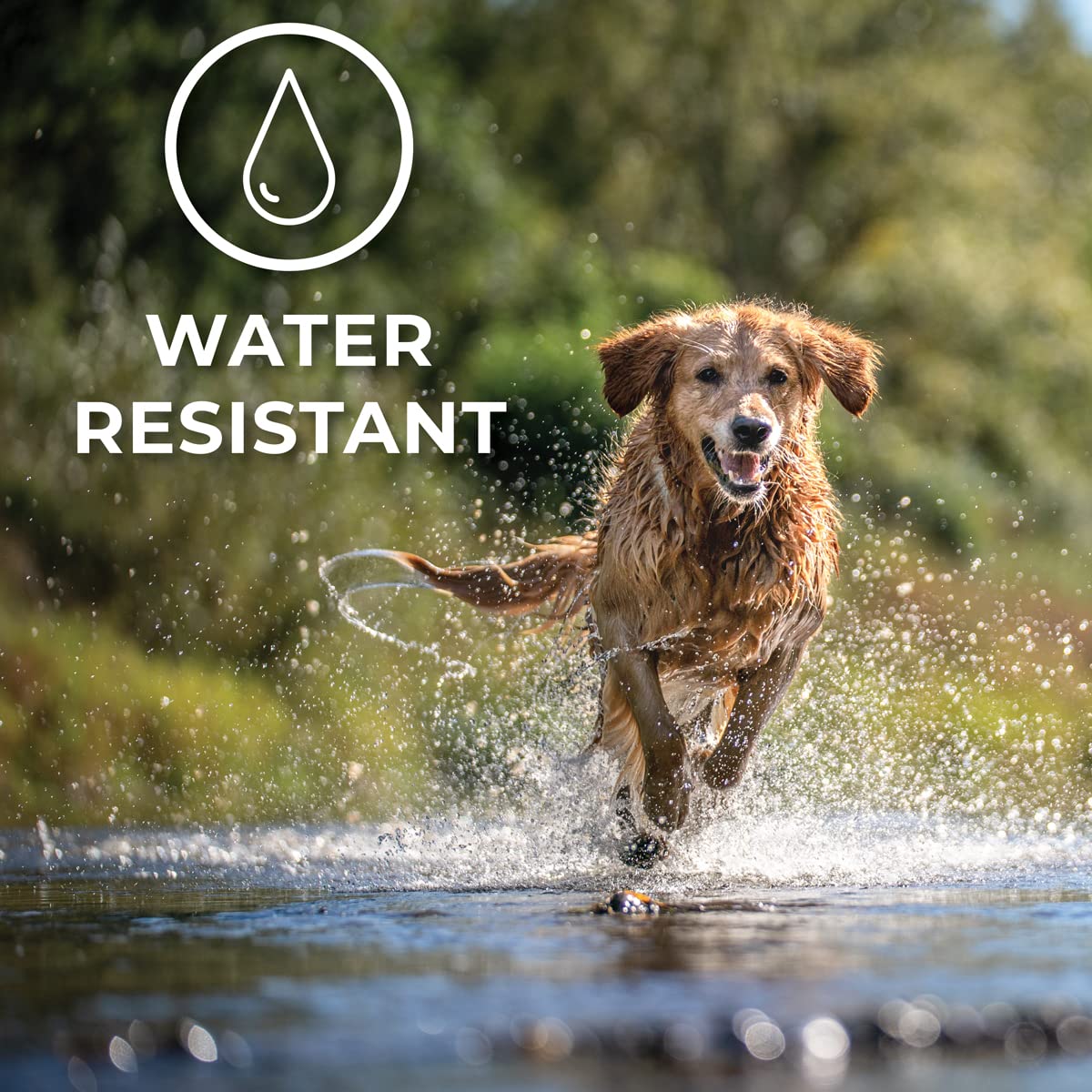 ACTIVPHY dos tallas ajustables para perros de distintos tamaños
