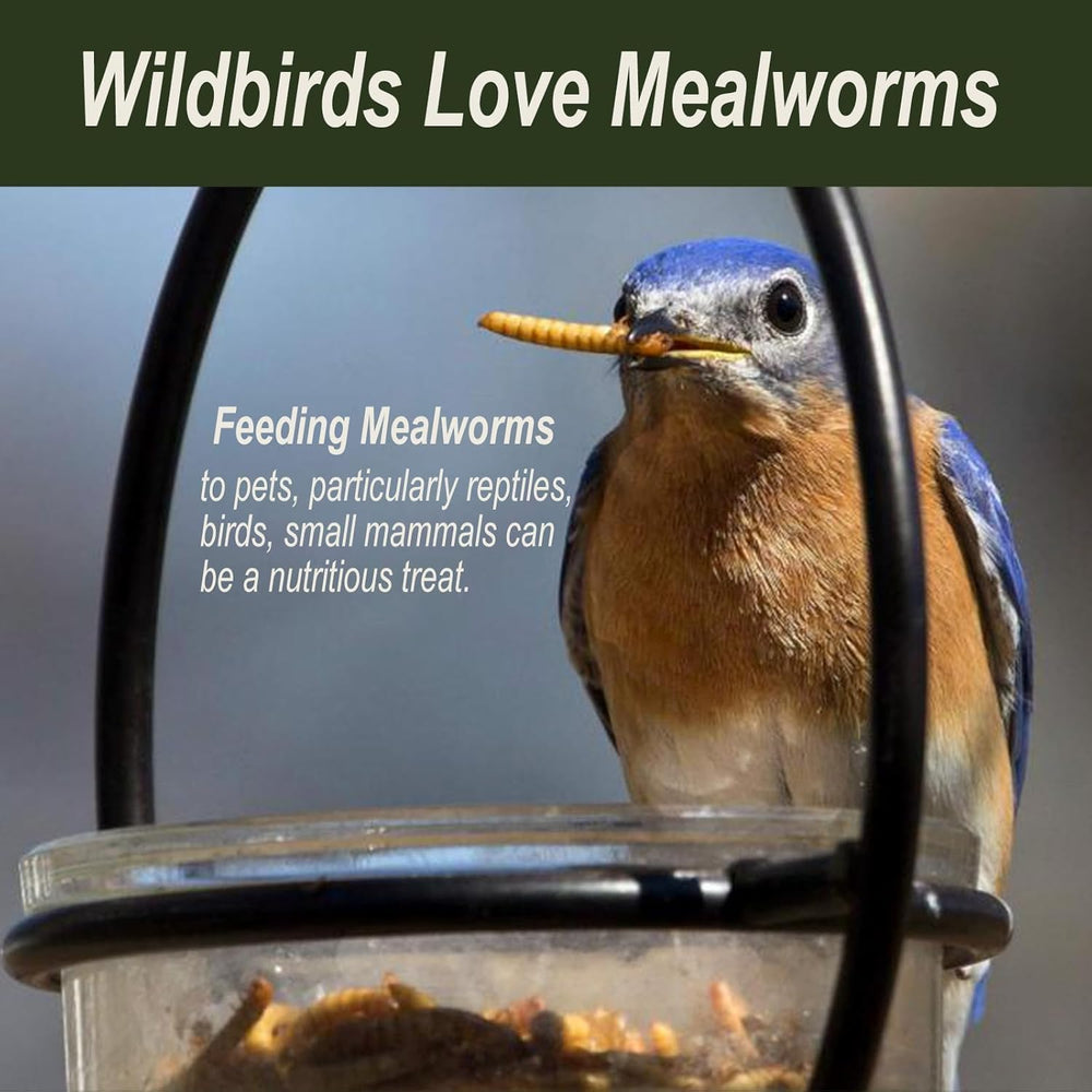 Etiqueta Adaman; alimento natural para aves y mascotas.