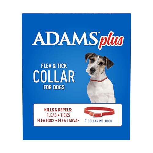 ADAMS Collar ideal para paseos y juegos al aire libre