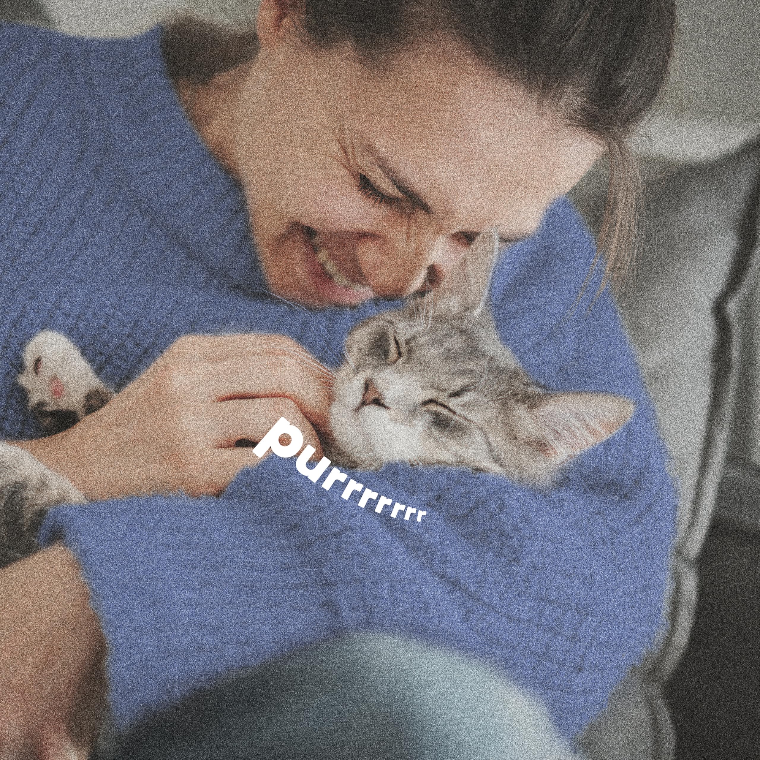 ADAMS Plus Champú para perros y gatos mayores de 12 semanas.