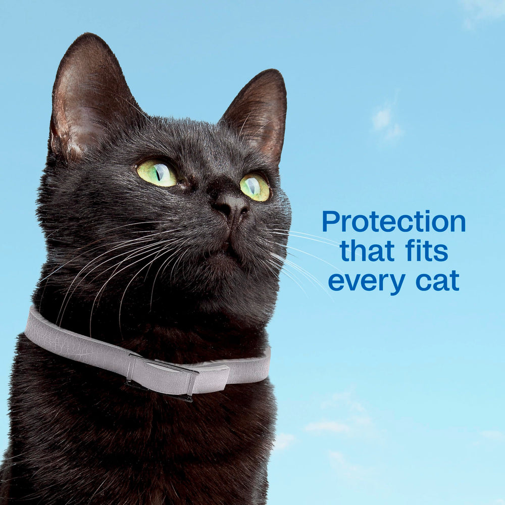 ADAMS Plus collar para gatos, protección de hasta 7 meses por collar.
