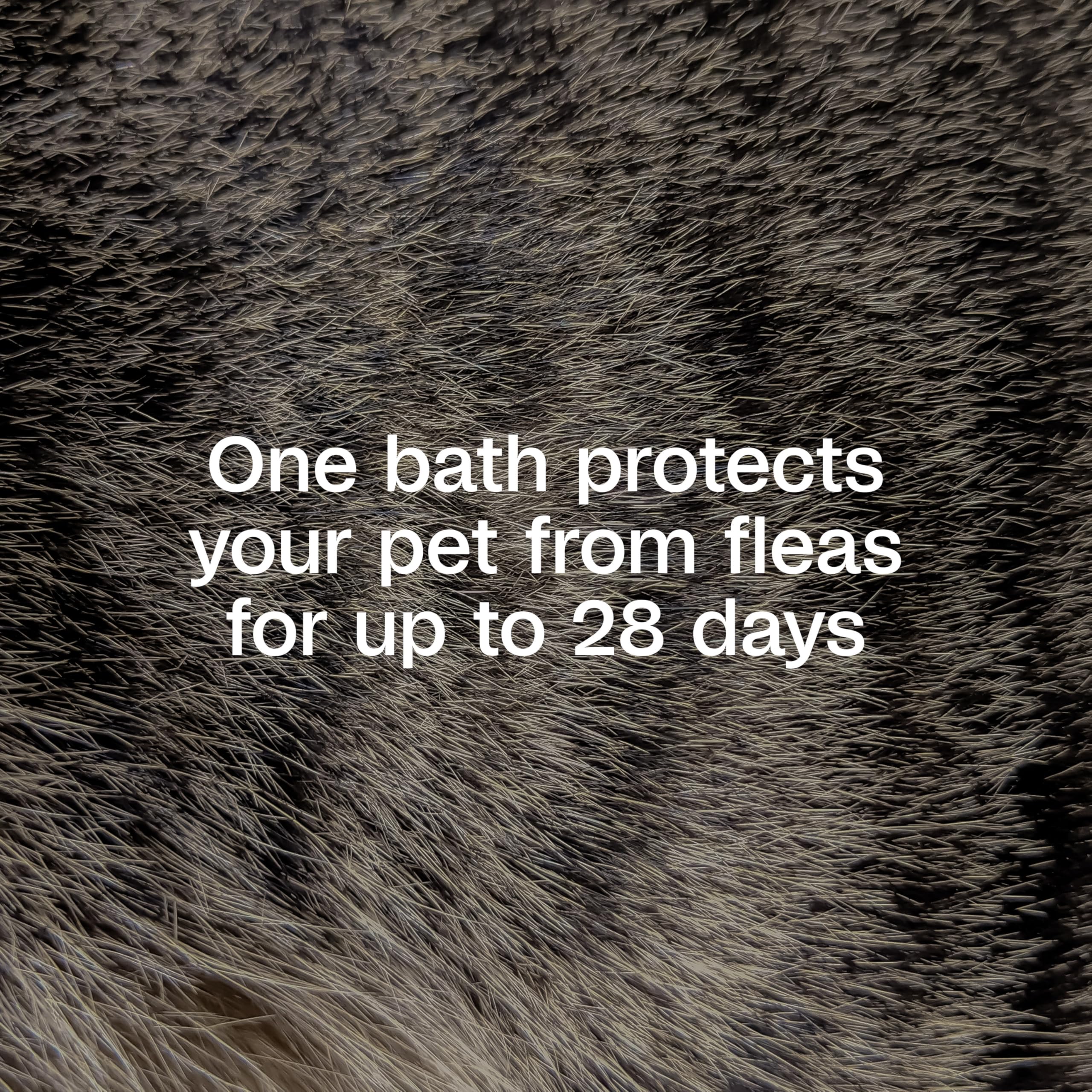 ADAMS Plus Precor IGR label close-up highlights flea life-cycle protection
