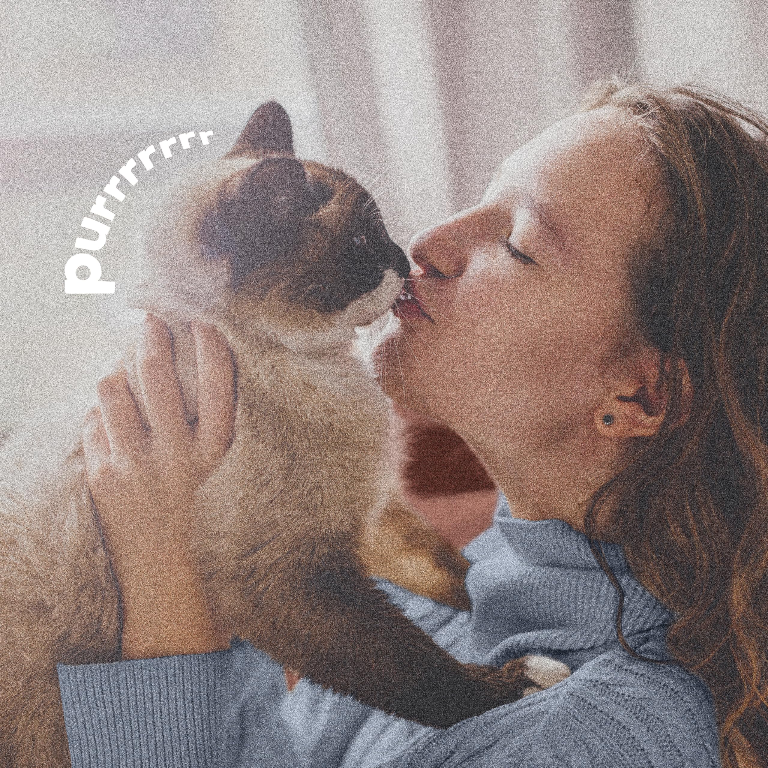 ADAMS Plus Spray sin fragancia, ideal para mascotas sensibles.