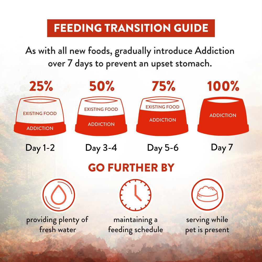 Addiction Wild Islands pelaje sano y energía para gatos