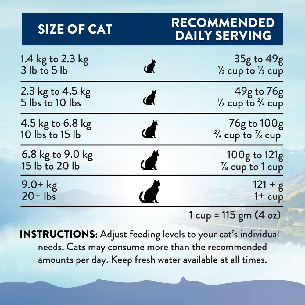 Gato con pelaje brillante gracias a Omega-3 en Addiction Wild Kangaroo Feast.