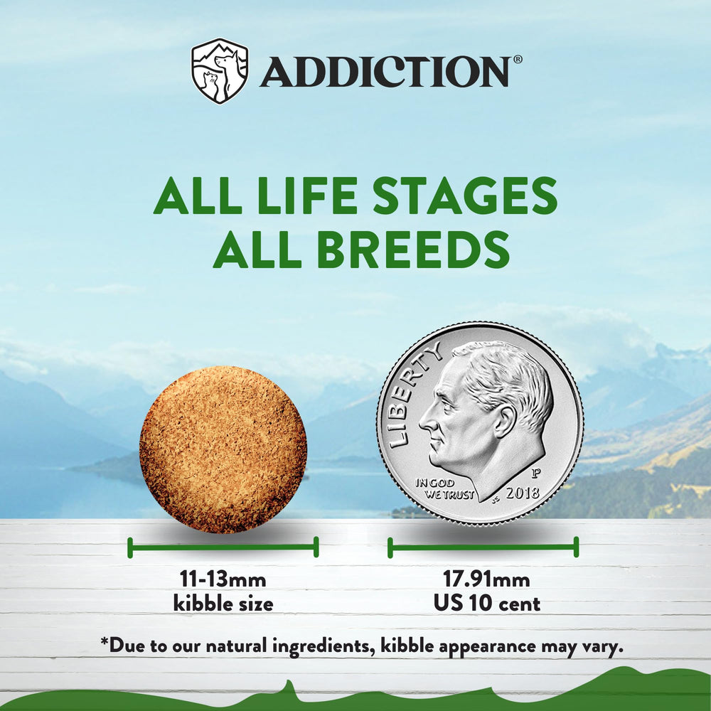 Addiction Zen aceite de coco y omega-3: ingrediente para una piel saludable