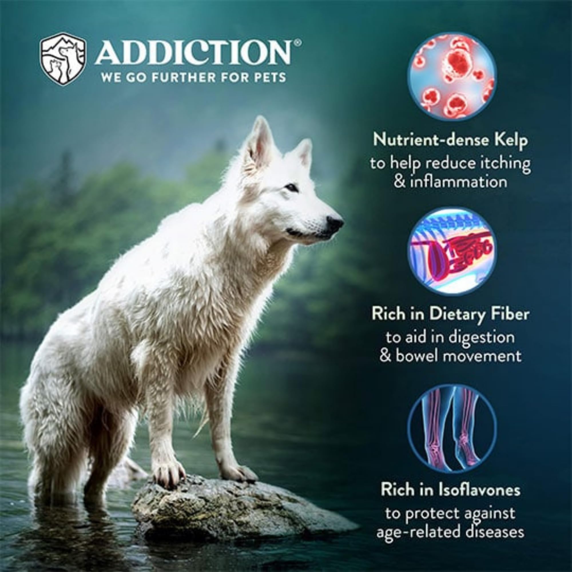 Addiction Zen nutrición para todas las etapas: adecuado para cachorros y adultos