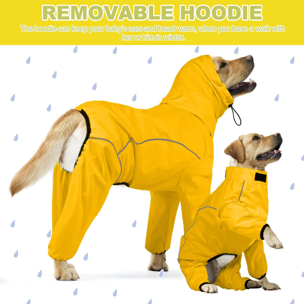 ADNIKIA disponible en seis tallas para perros pequeños a grandes
