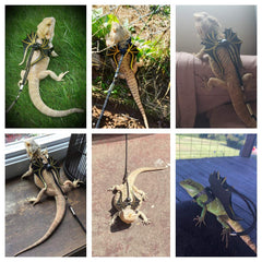 Arnés ADOGGYGO lagarto cuero nylon suave, cómodo y seguro para exploraciones en casa o jardín.