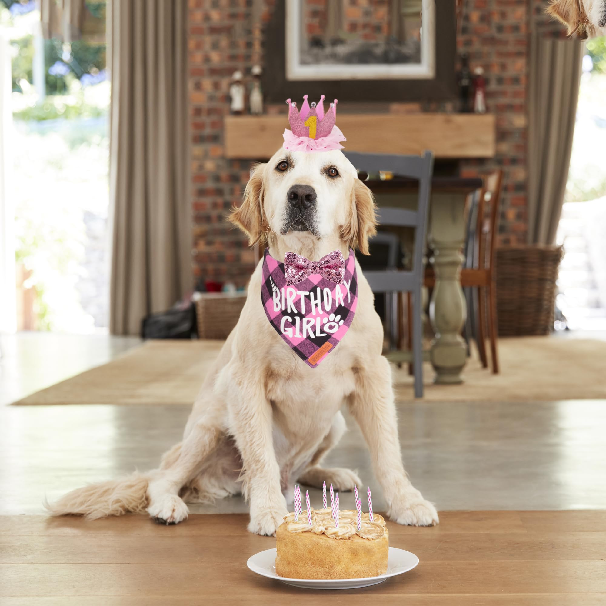 ADOGGYGO bandana anniversaire chien rose, confort doux pour robe festive