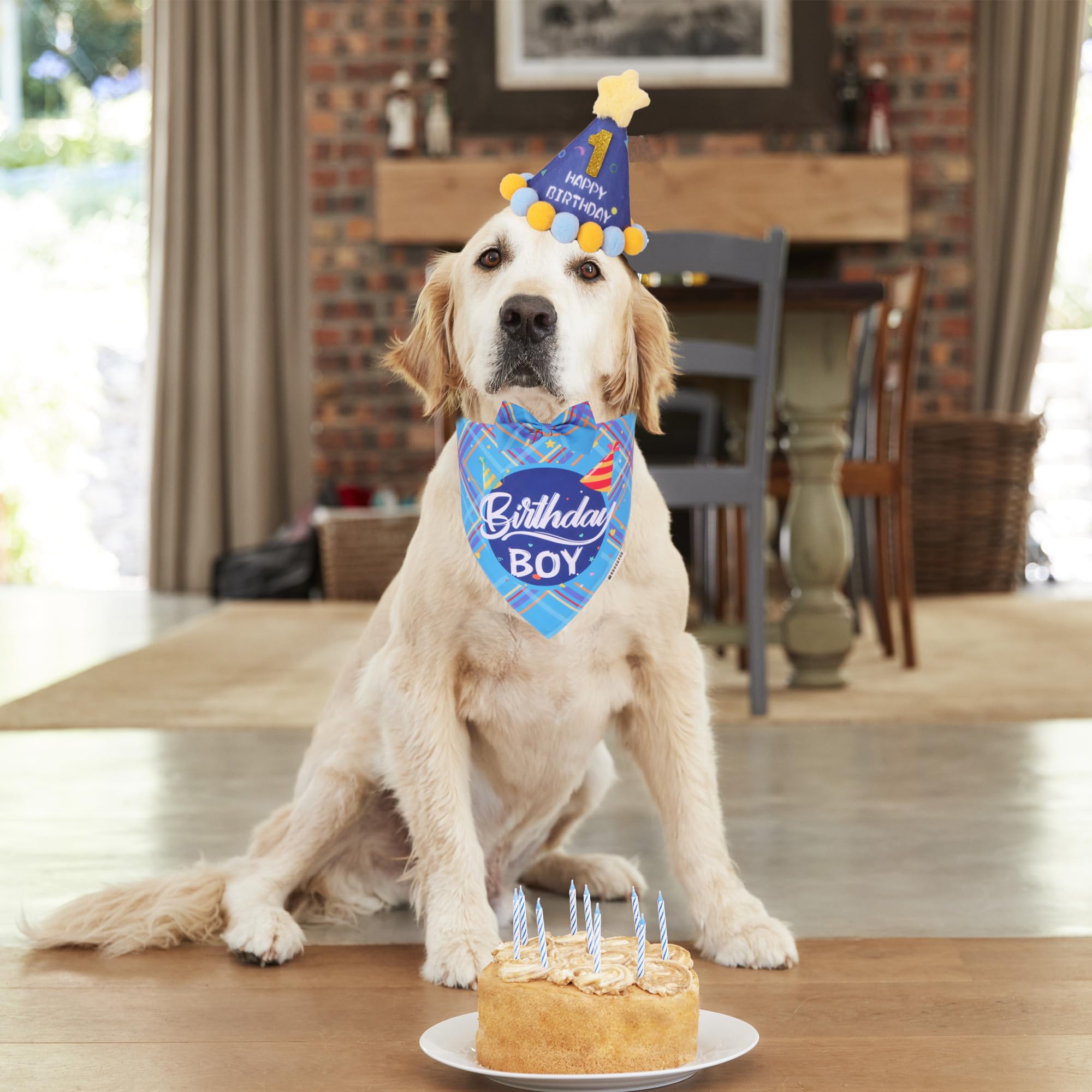 ADOGGYGO bandana azul de cumpleaños para perro XL, cómodo y estilizado.