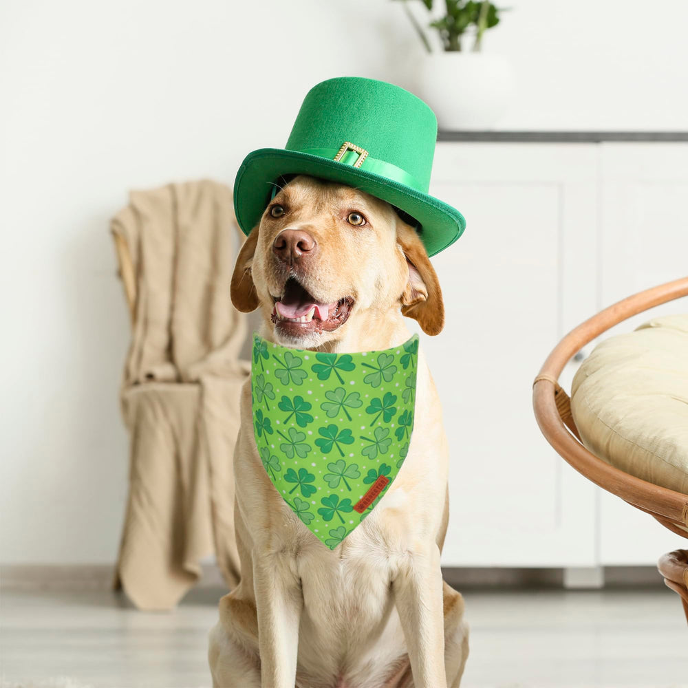 ADOGGYGO bandana para perro de talla grande, ajuste seguro.