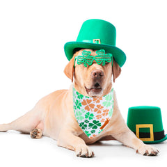 Bandana ADOGGYGO verde doble capa, más duradera para paseos diarios.