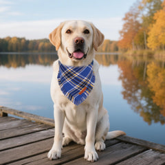 Bandana ADOGGYGO para uso diario, suave algodón.