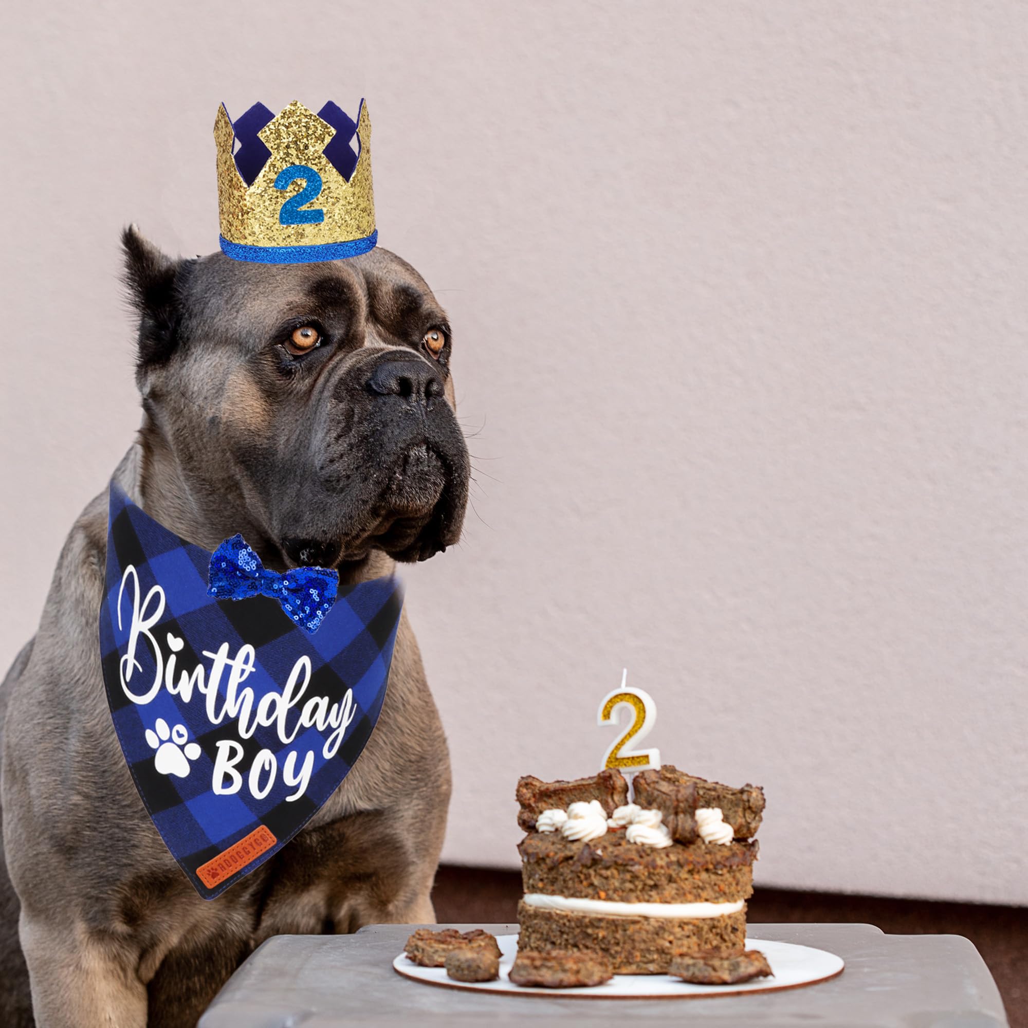 ADOGGYGO corona dorada para mascotas, añade un toque de distinción en celebraciones.