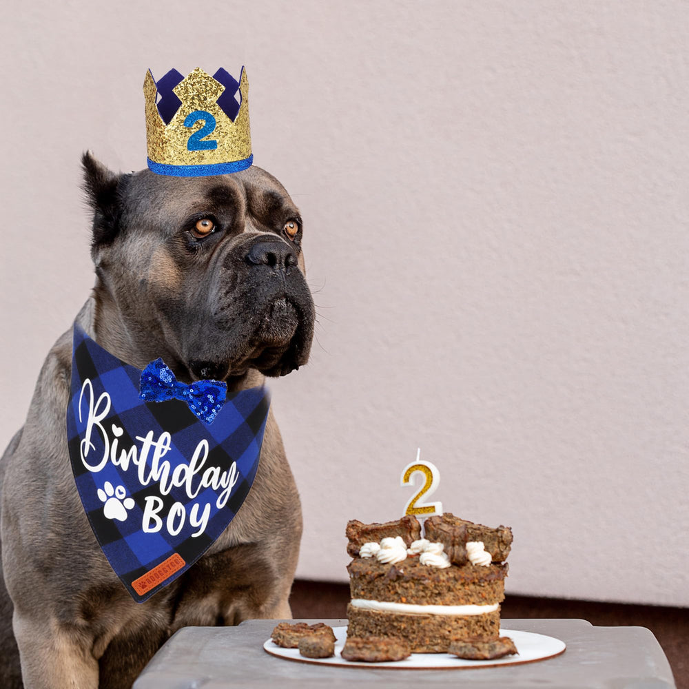 ADOGGYGO corona dorada para mascotas, añade un toque de distinción en celebraciones.