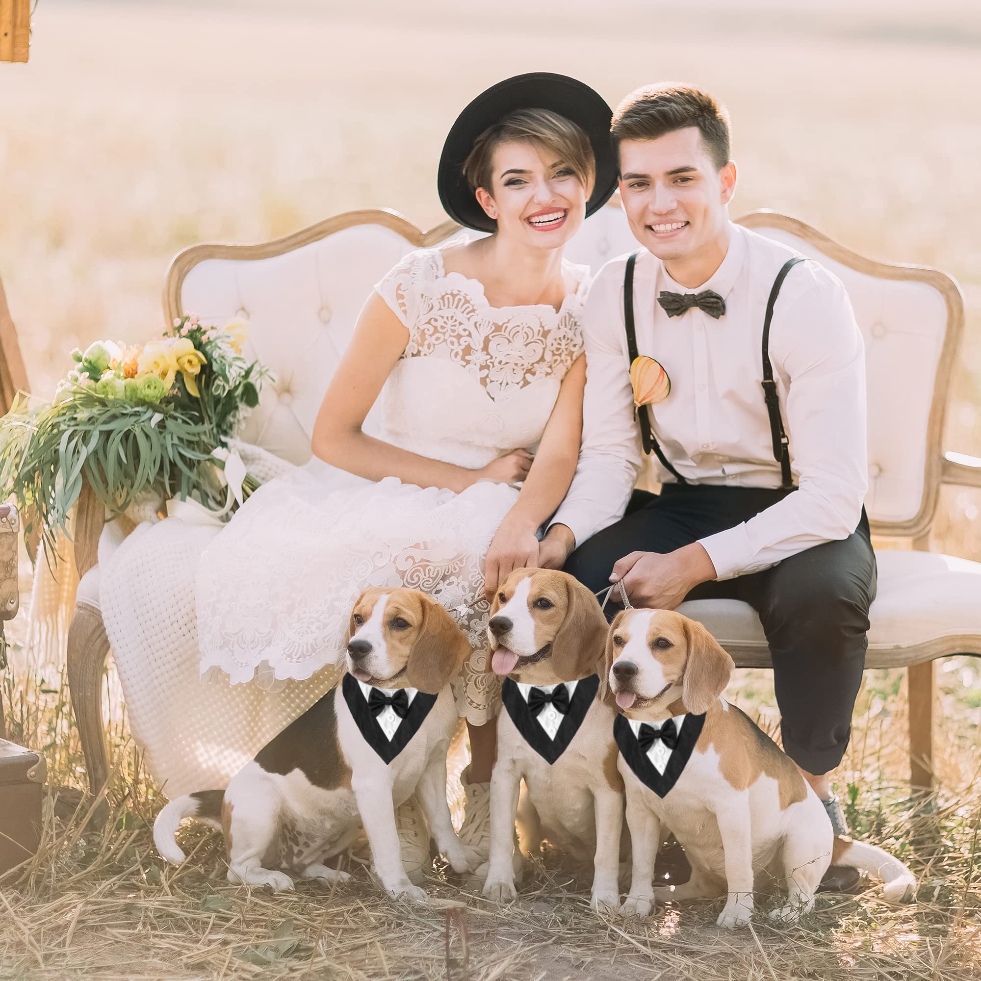 ADOGGYGO costume-chien noir noeud-papillon reglable, confort adapté pour les fêtes.