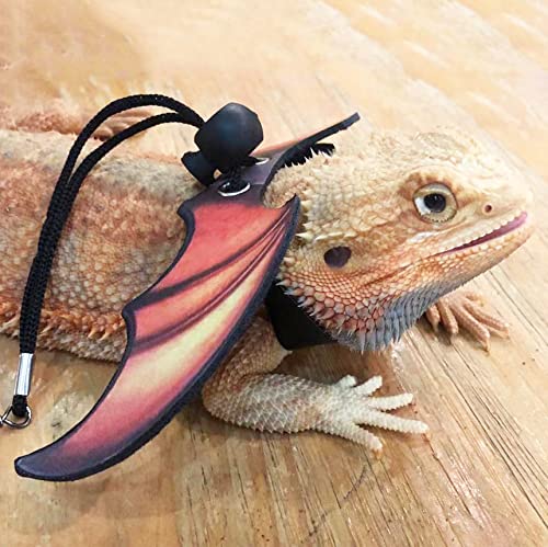 CORREA AJUSTABLE de ADOGGYGO: ajuste seguro para dragon barbudo en exploraciones.