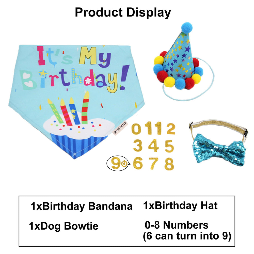 ADOGGYGO ensemble triple anniversaire chien et chat, ensemble coordonné pour la photo.