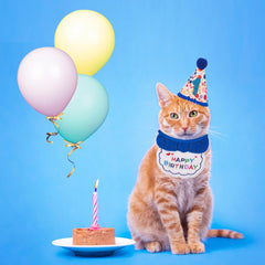 ADOGGYGO bandana de cumpleaños para gato, diseño colorido para celebrar.