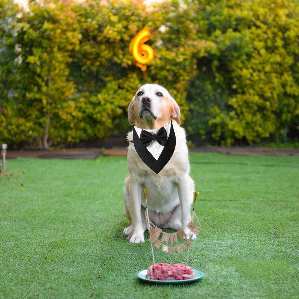 ADOGGYGO Tuxedo Chien Noir – fermeture Velcro rapide pour enfiler sans stress