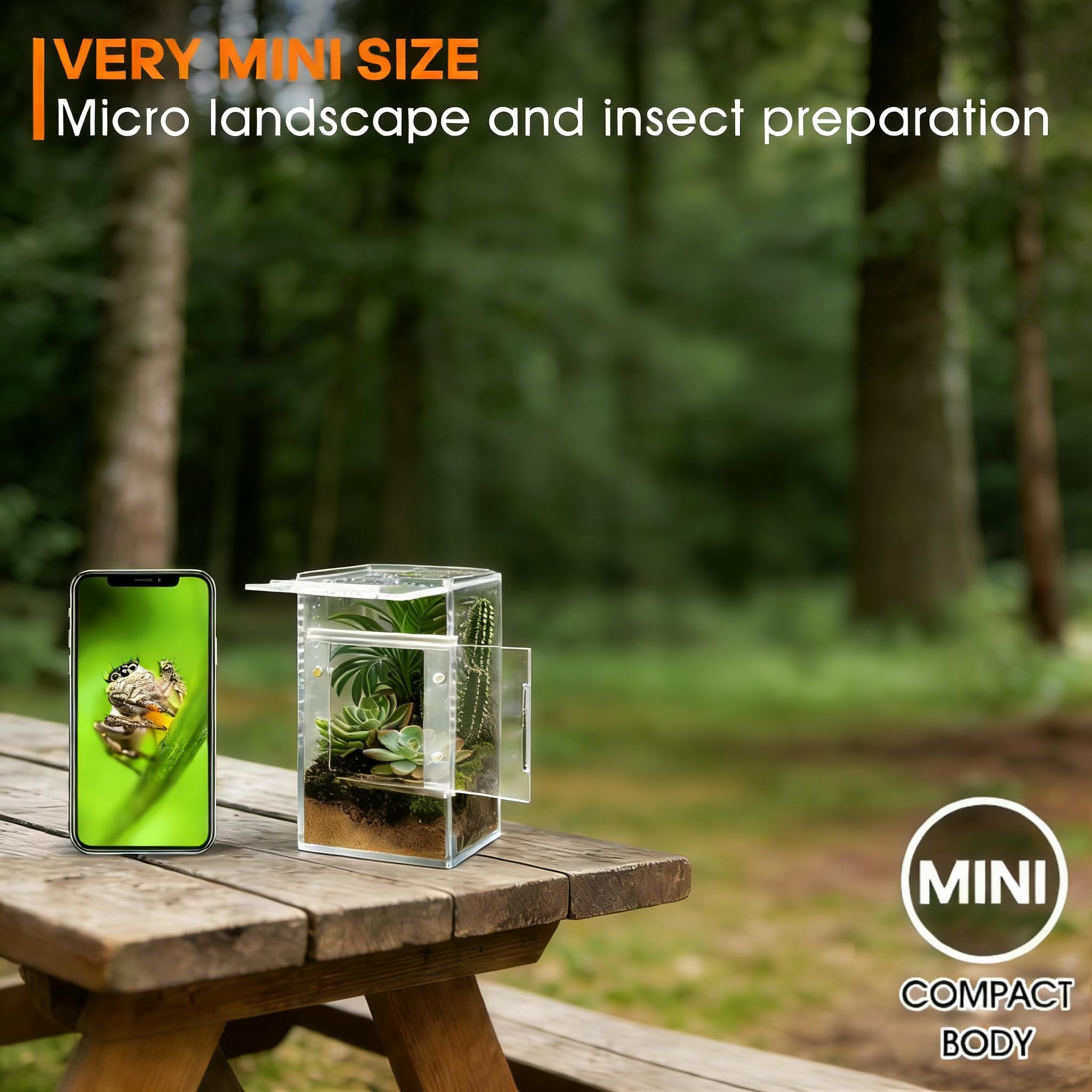 Adoture Terra: hábitat versátil para aracnidos y microinvertebrados.