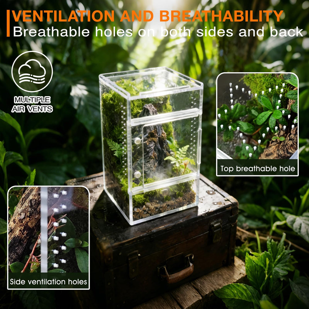 Adoture Terra: terrario compacto para mantis y otras mini criaturas.