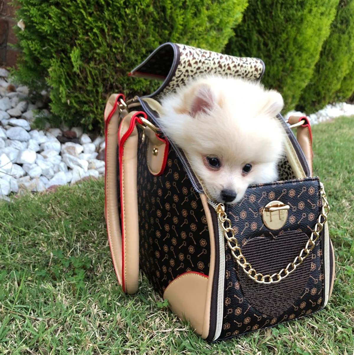 Adriene's Choice porta-mascotas interior con mascota para comodidad