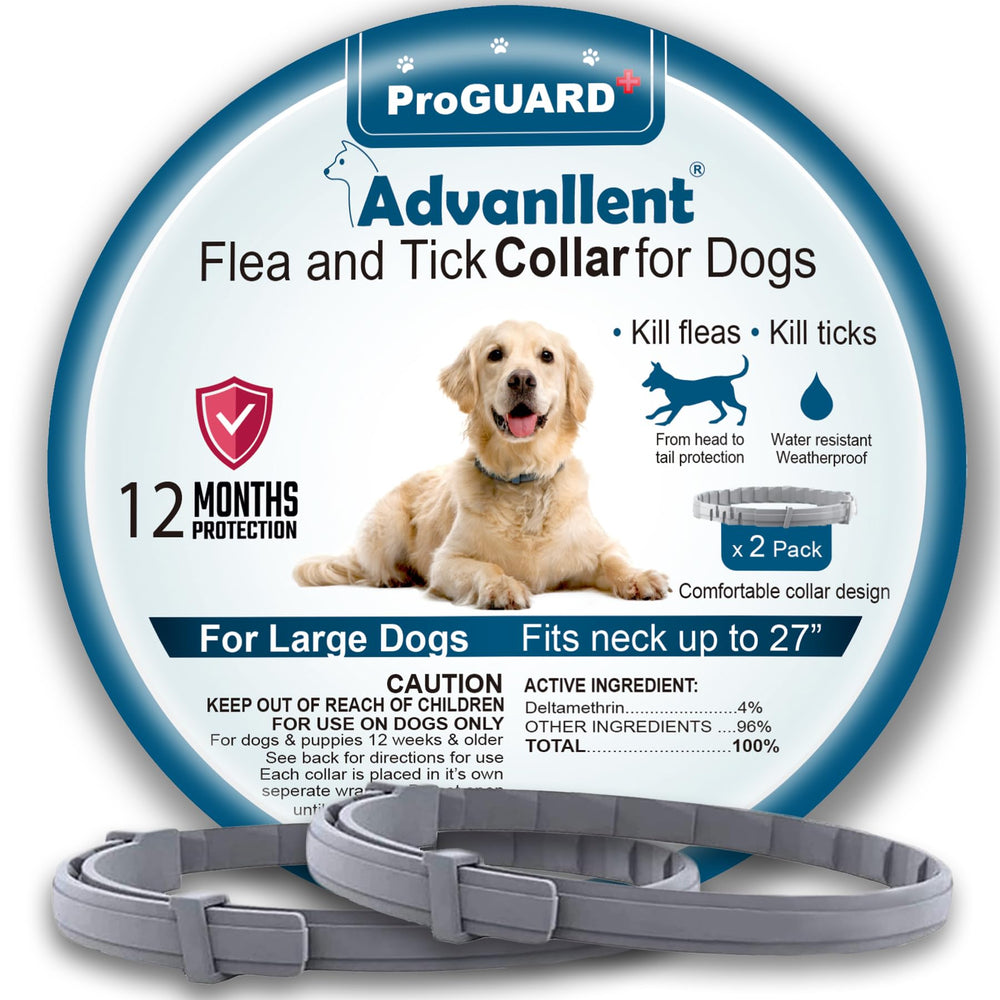 Advanllent collar antipulgas para perros, protección duradera contra pulgas.