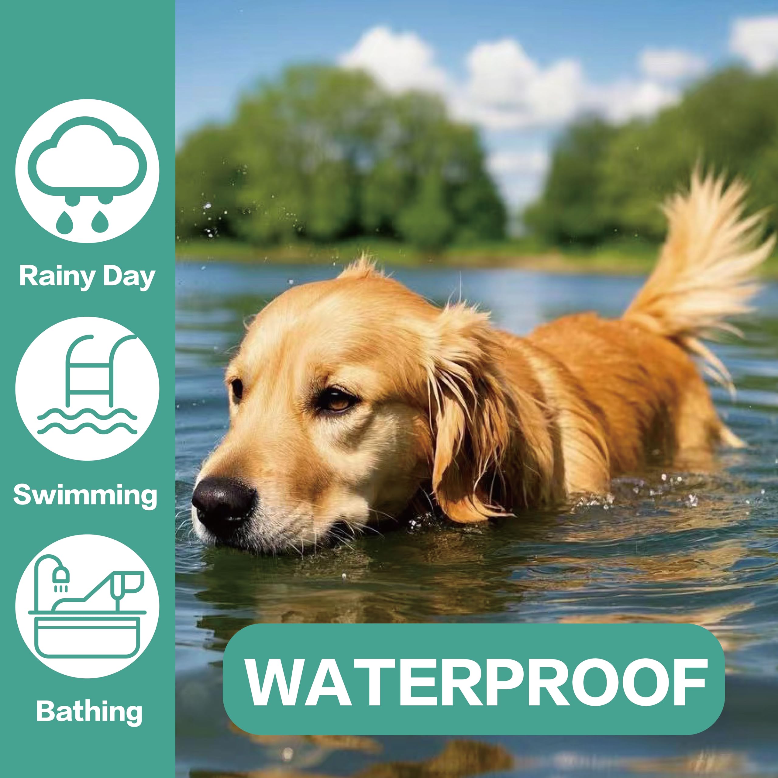 Resistente al agua: collar Advanllent para perros en todo clima.