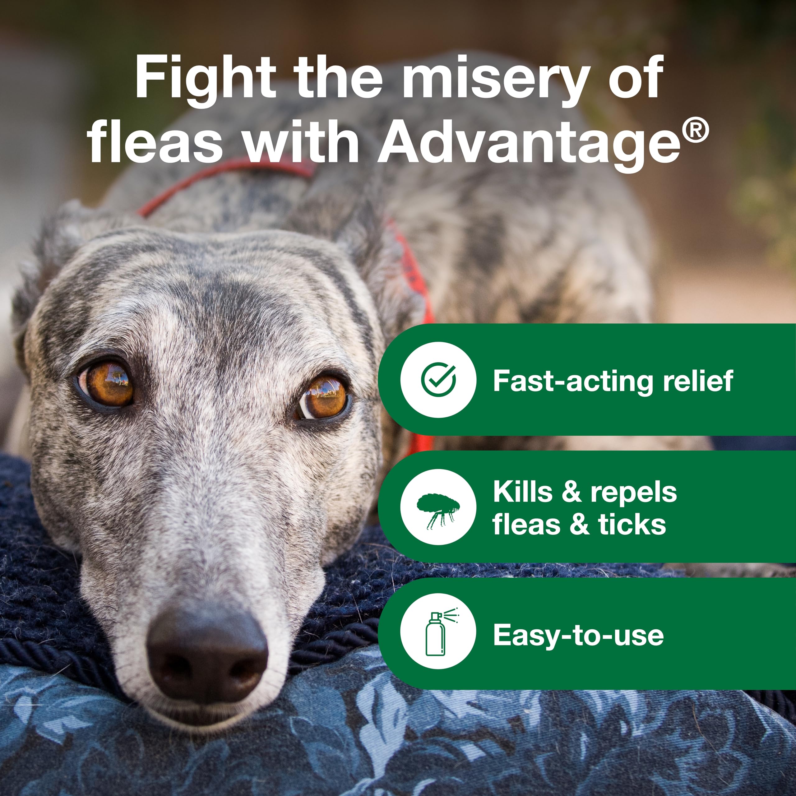 Advantage para perros - forma parte de un programa de control completo
