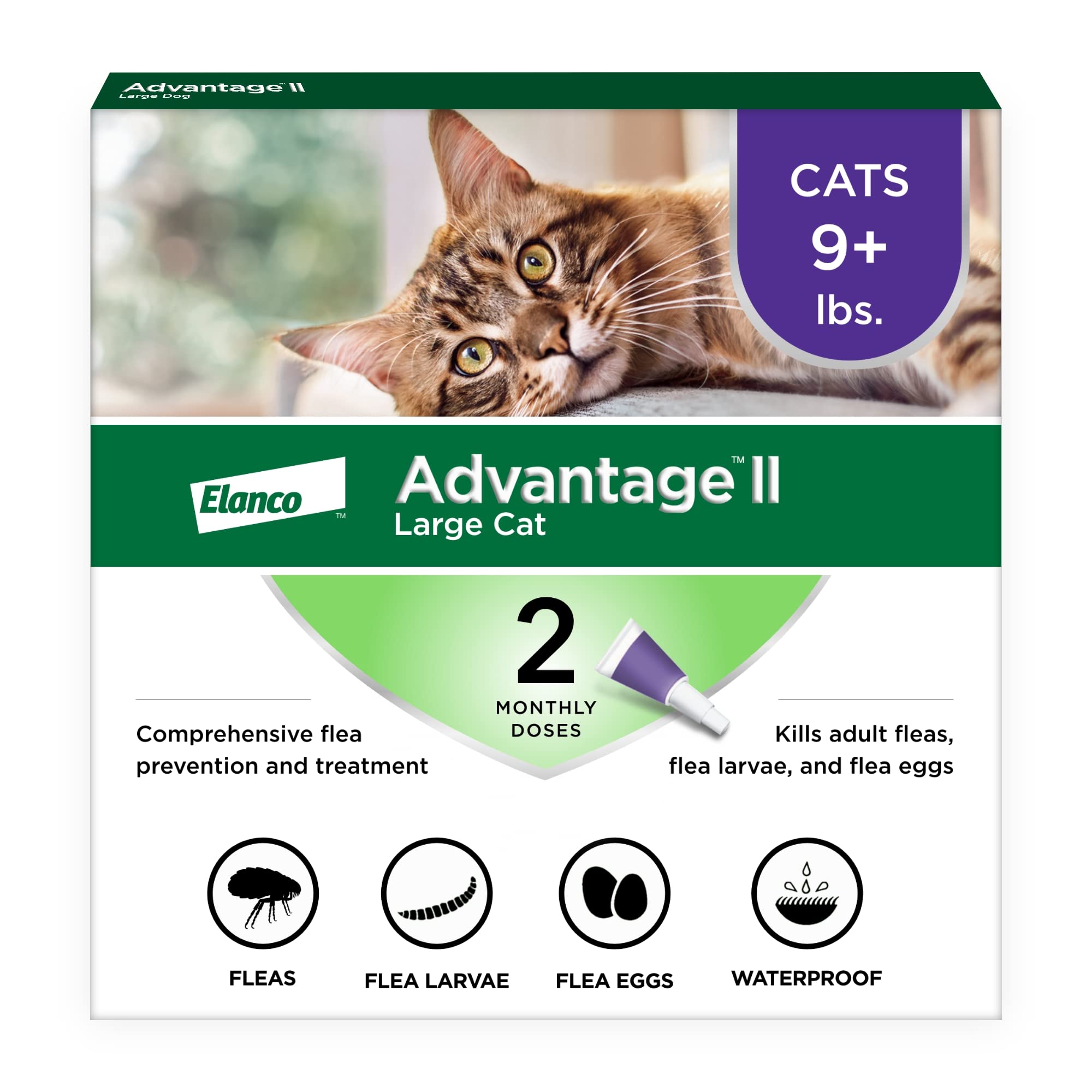 Advantage II Gato Grande: aplicación en la nuca para protección de pulgas.